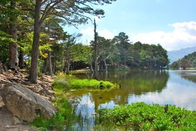 Aran Valley. Bassa d'Oles